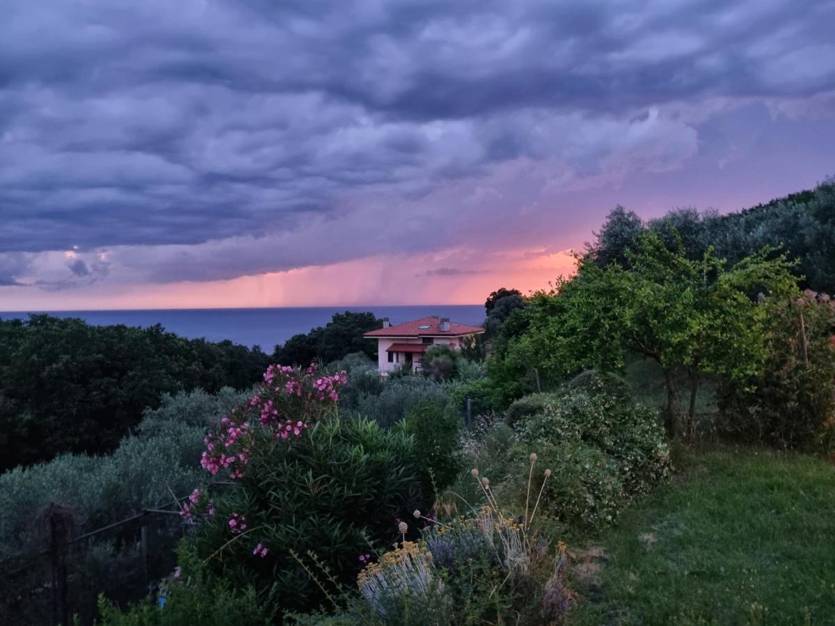 Bed and Breakfast Piccola California Múggia Zewnętrze zdjęcie